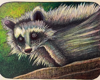 Raccoon, Animal, mammal,Trash Panda,North America,Grayish color,Oil painting, Oil on paper, Original Art, Robert Mahosky, 11 inch by 14 Inch