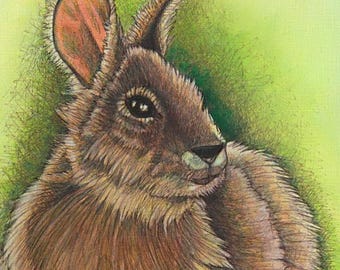 Swamp Rabbit Bunny Painting – Original Oil Painting on Paper 11x14 – Wildlife Animal Art – Woodland Nature Wall Decor
