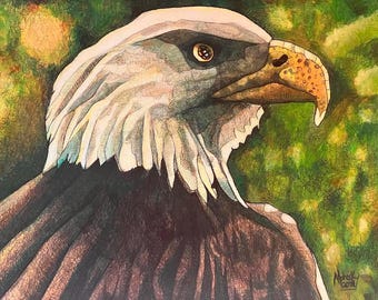 Bald eagle face, Eagle, Bird, raptor, Oil painting, Original painting, 11 inch by 14 inch, Robert Mahosky