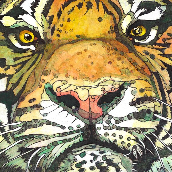 Tiger face, Wildlife, Animal, 11 by 14, Robert Mahosky, Print