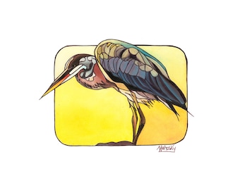 Crane, Bird, Water bird, Wading bird, Print, 11 inch by 14 inch, Robert mahosky