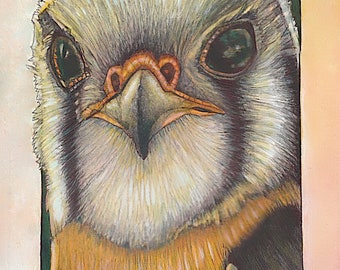 Full Face Kestrel , Bird, Raptor,  Oil painting, 11 by 14 inch, Robert Mahosky