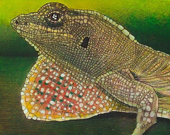 Anole, Lizard, Orignial wildlife art, Robert Mahosky, 11 by 14,