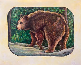 Bear, Wildlife, Animal, Western North Carolina, 11 inch by 14 inch, Original oil, Robert Mahosky