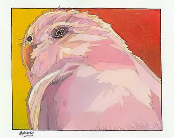 Pink - 11 by 14 - Parrot - Print - Robert Mahosky