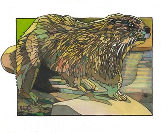 Otter, Animal, Wildlife, Print, 11 by 14, Robert Mahosky
