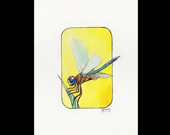 Yellow Dragon Fly, 11 by 14, Dragon fly, Bug, Original painting, Fly, Robert Mahosky, Oil painting