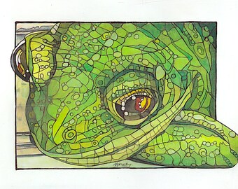 Close Froggy face, Frog, oil painting, original art, animal, wildlife, 11 by 14, Oil on paper, Robert Mahosky