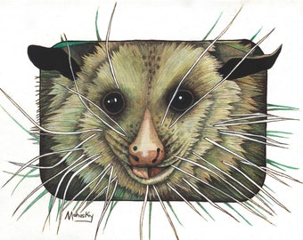 Virginia the possum, possum print, 11 inch any 14 inch, Robert Mahosky