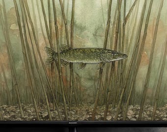 Hecht Screen Art | 4K & 8K | Samsung Frame Image | Bright Reed Aquarelkunst | Direct downloaden
