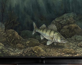 European Zander Vintage TV Art | 4K & 8K | Samsung Frame Art | Dark Green Underwater Watercolor | Instant Download