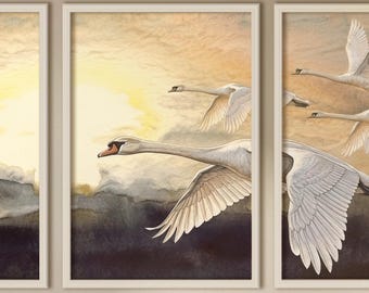Muurdecoratie met knobbelzwaan | Set van 3 + panorama | Sfeervolle natuurkunst | Zachte hemelkleuren | Direct te downloaden