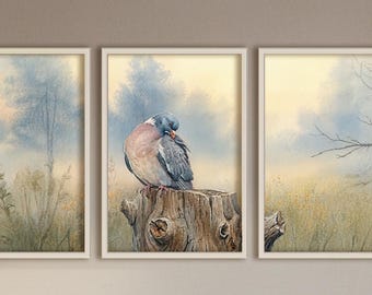 Collared Dove Woodland Wall Art | Triptych Set + Panorama | Moody Vintage Forest Art | Cottagecore Decor | Instant Download