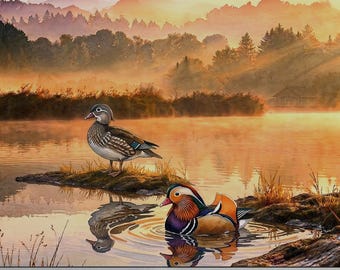 Mandarijneenden TV-kunst | 16:9 in 4K + 8K | Samsung fotolijst | Rustgevende zee- en natuurkunst | Zachte pastelkleuren | Direct downloaden