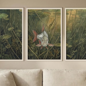 May include: A triptych wall art set featuring a detailed illustration of a silver fish with reddish fins swimming among green aquatic plants and lily pads. The artwork is divided into three vertical panels, each framed in a light-colored wooden border.