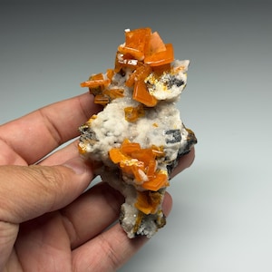 May include: A mineral specimen featuring vibrant orange, tabular wulfenite crystals clustered on a white, crystalline matrix. The specimen displays a contrast between the bright, translucent orange mineral formations and the textured, off-white base.