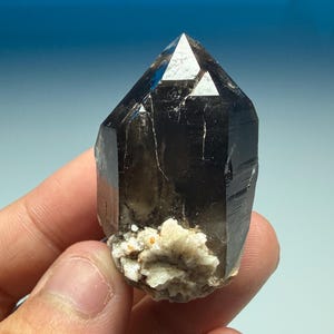 May include: A dark smoky quartz crystal point with a translucent, deep brown hue and sharp, geometric facets. The base of the crystal features a cluster of small, opaque white mineral formations that contrast with the dark, glassy body.
