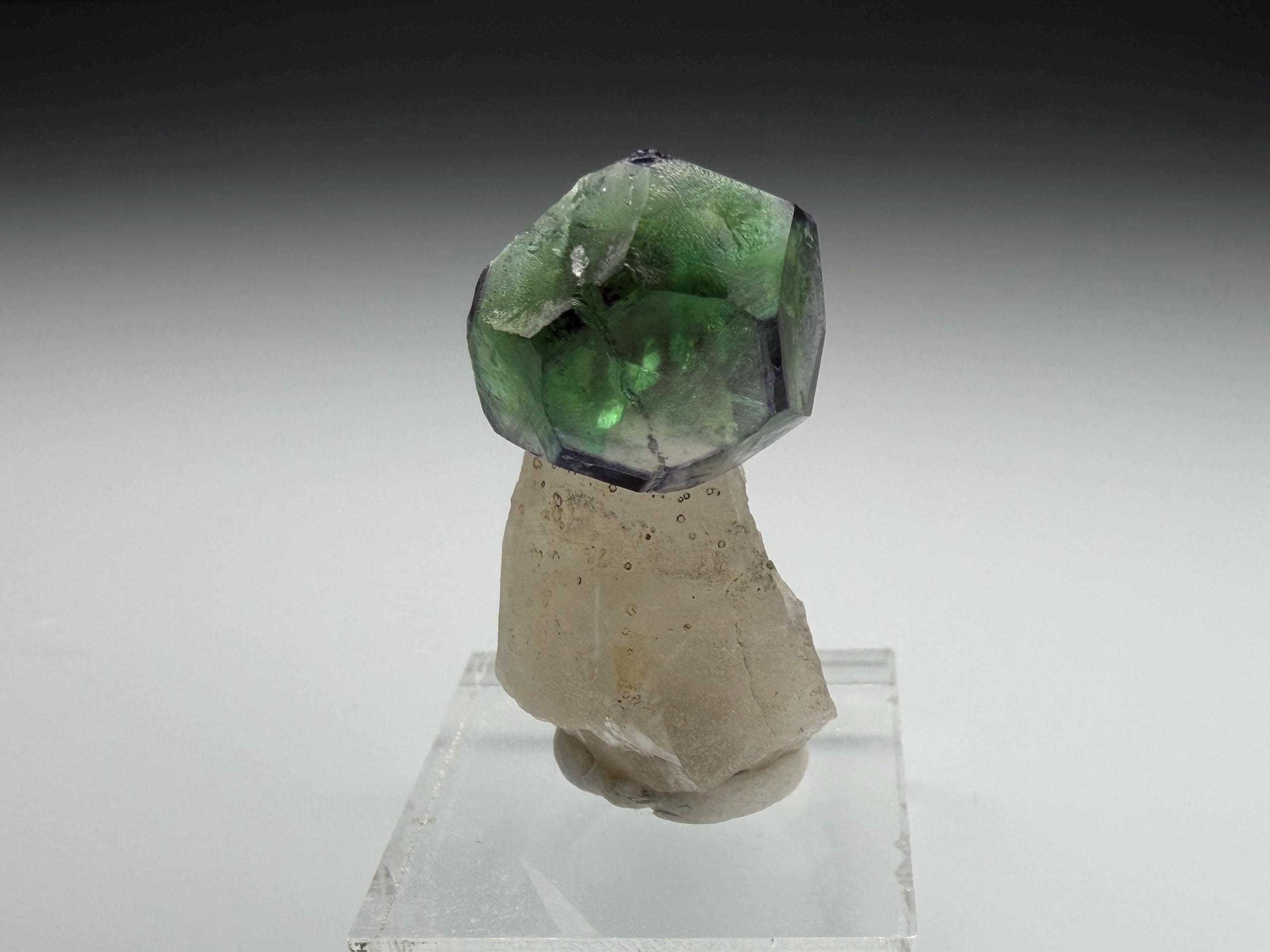 Alien eye fluorite - Etsy 日本