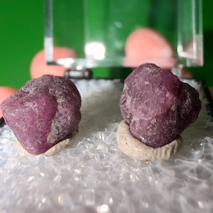 May include: Two raw, deep magenta-colored ruby gemstones with irregular, faceted surfaces. Each stone is set into a small, circular, light-colored clay base, positioned side-by-side within a clear display box with a hinged lid.