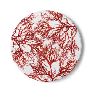 Seaweed Ceramic Coaster