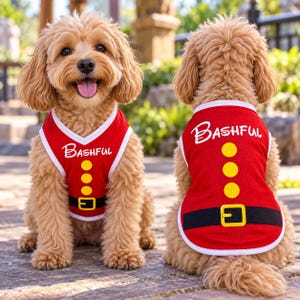May include: A light brown dog wearing a red mesh tank top with white trim. The shirt features the word Bashful in white script, three yellow circular buttons, and a black belt graphic with a yellow buckle printed on the front and back.