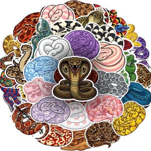 Peut inclure: Une collection de nombreux autocollants de serpents présentant diverses espèces et couleurs, y compris des motifs roses, bleus, jaunes, violets et marron. Un cobra marron central au capuchon déployé est entouré de serpents enroulés.