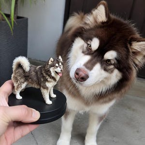 Può includere: Una piccola statuetta dettagliata di un cane husky marrone e bianco in piedi su una base circolare nera. La statuetta presenta una pelliccia testurizzata, orecchie a punta e una coda arricciata, replicando l'aspetto di un vero husky.