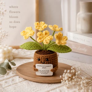 Mönster för virkad blomkruka med emotionellt stöd i PDF-format | Amigurumi för leende växt med meddelandekort | Söt nybörjarhandledning för virkad blomkruka