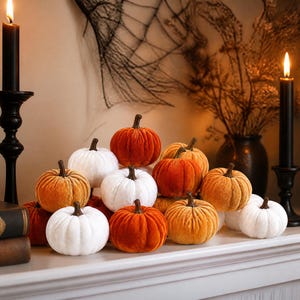 Puede incluir: Una colección de pequeñas calabazas de felpa en tonos blanco, naranja y óxido, cada una con un tallo marrón. Las calabazas están dispuestas en un grupo, mostrando texturas y tamaños variados, creando una exhibición decorativa de temporada.