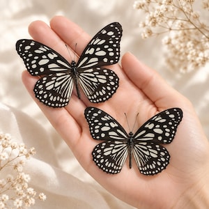 Può includere: Due farfalle con ali nere caratterizzate da macchie bianche e sottili venature bianche. Le farfalle sono posizionate su un palmo aperto, mostrando motivi alari simmetrici con bordi arrotondati e delicate antenne sul corpo centrale.
