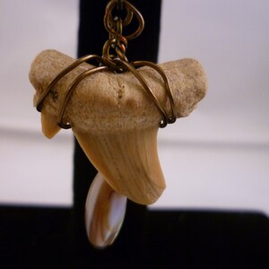 Soft and smooth brass shark tooth necklace