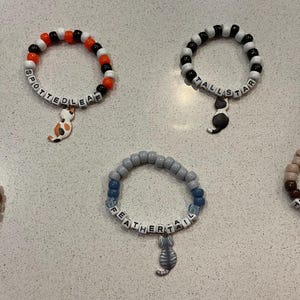 Pulsera del Gato Guerrero