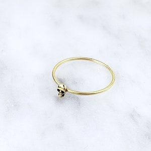 Pode incluir: Um anel de ouro com um pequeno amuleto de caveira. O anel &eacute; simples e delicado.