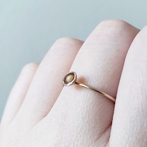May include: A delicate gold ring with a small, round, cream-colored stone set in a simple, circular design.