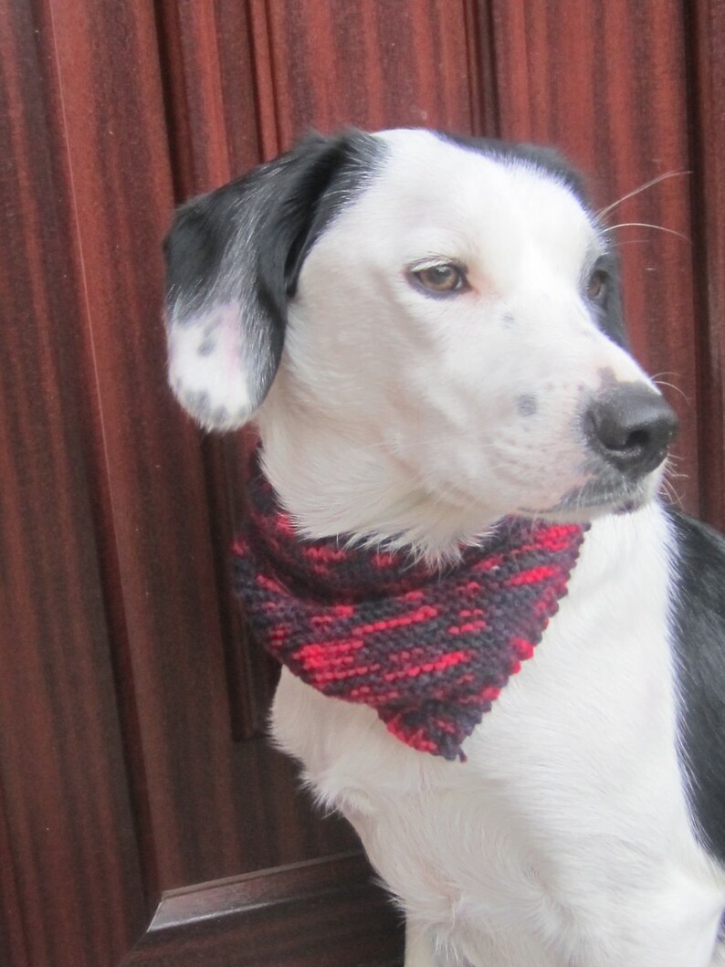 Knitted dog bandana. Handknitted dog bandana. Knitted dog | Etsy