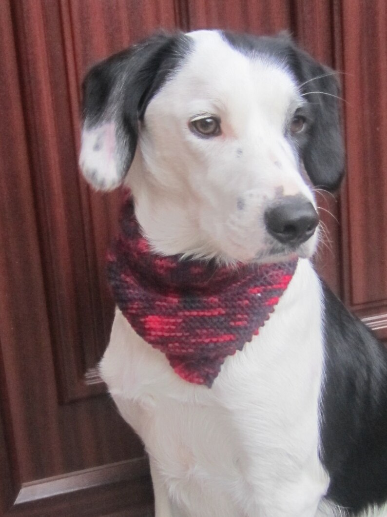 Knitted dog bandana. Handknitted dog bandana. Knitted dog Etsy