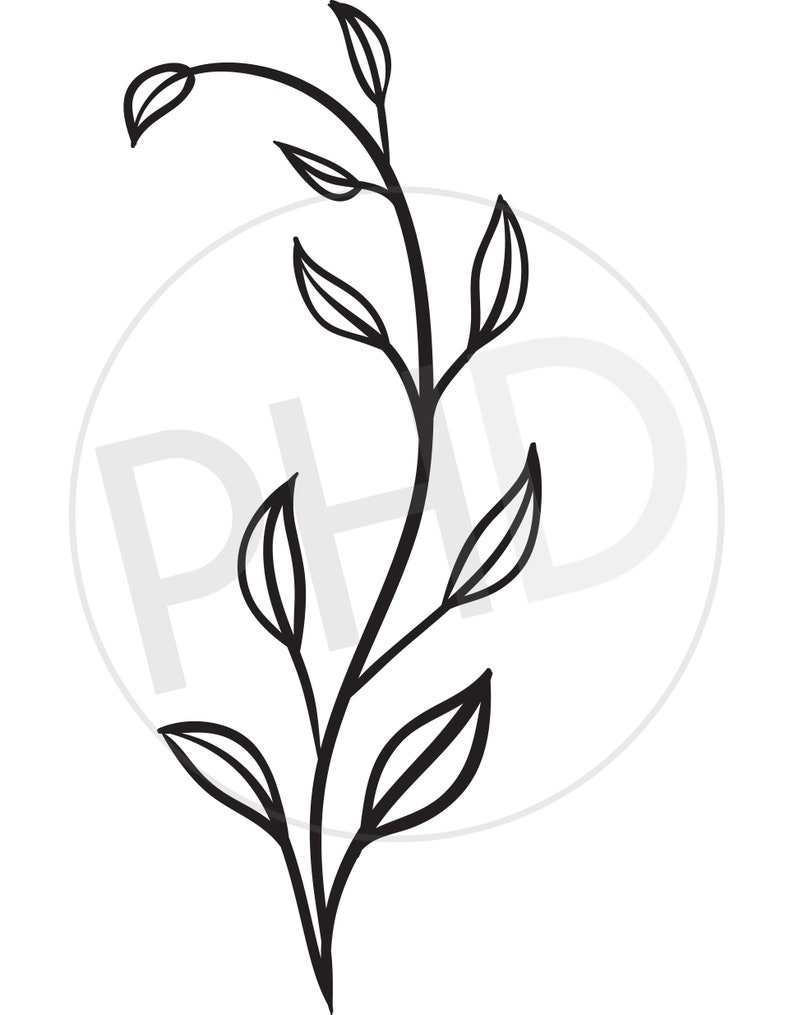 Olive Branches 2 print and cut files svg, png, jpg, dxf image 2