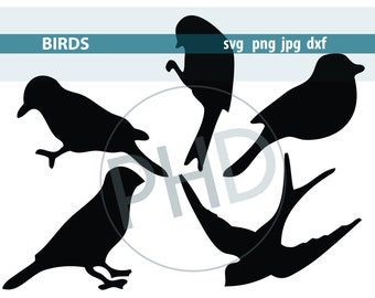 Oiseaux d’une plume-impression et couper les fichiers-svg, jpg, png, dxf