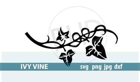 Download IVY LEAF VINE-Cut or print file-Includes svg png and jpg ...