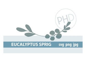 Eucalyptus Sprig-cut and print files- jpg, png, and svg