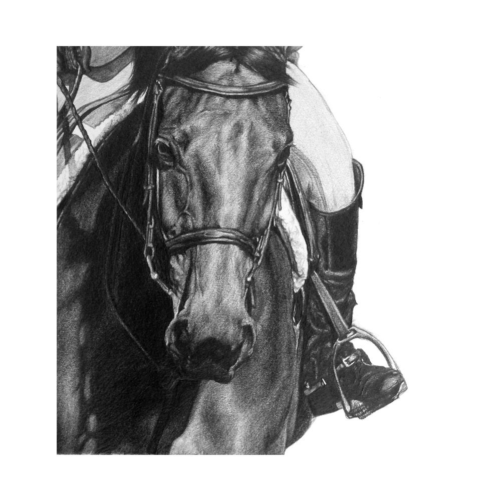 Dressage horse riding pencil drawing. 8 x 8 20 x | Etsy