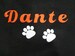 Personalized Dog or Cat Blankets- Large size for you and your pet to snuggle, or for large size dog 