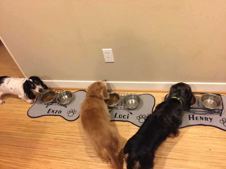 Pet Placemat Pet Mat Personalized Dog Mat Pet Feeding Bowl Etsy