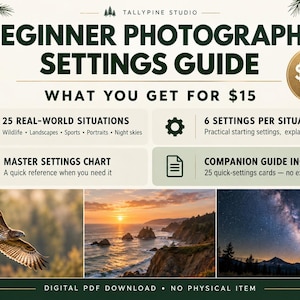 Beginner Photography Settings Guide | Camera Settings Cheat Sheet | 25 Photo Situations
