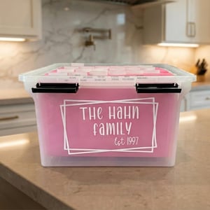 May include: A clear plastic storage bin with black locking handles containing pink hanging file folders. The front features white text reading "The Hahn family Est 1997" framed by white geometric lines, with visible file folder tabs.