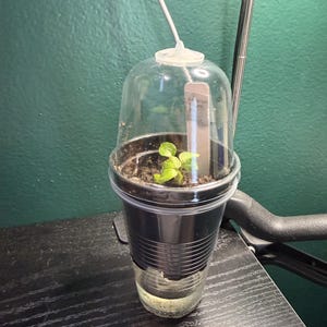 May include: A small green plant seedling growing in a black plastic pot inside a clear plastic cup dome. The setup includes a white plant marker tag and a white cord extending from the top of the dome, creating a self-contained propagation environment.