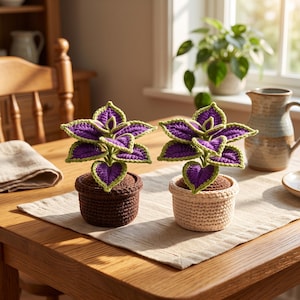 May include: Two crocheted potted plants featuring vibrant purple leaves with bright green edges. One plant is housed in a dark brown crocheted pot, while the other is in a light beige crocheted pot. Both plants have a brown crocheted soil base.