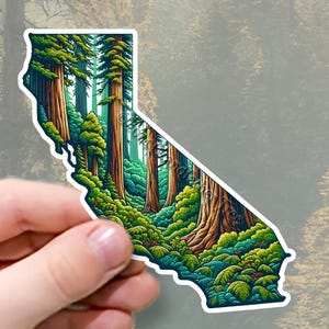 May include: A sticker of the state of California with a forest scene of tall redwood trees and green foliage.