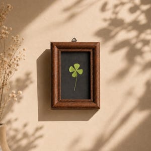 May include: A rectangular dark brown wooden frame containing a pressed green four-leaf clover centered on a black background. The frame features a simple beveled edge and a small metal triangular hanging hook attached to the top center of the frame.