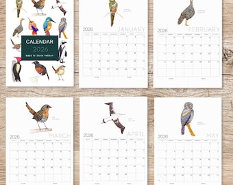 2026 Bird Calendar, Minimalist Printable PDF, Spanish & English